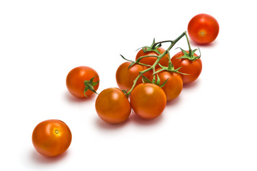 Similar image 2765360