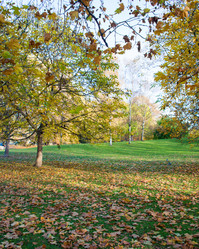 Similar image 2765420