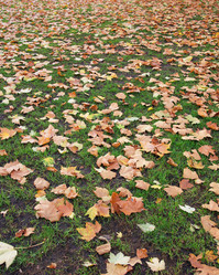 Similar image 2765422