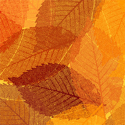 Similar image 2766664