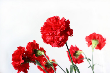 Similar image 2771665