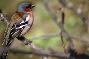 Similar image 2771669