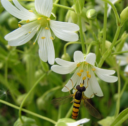 Similar image 2771681