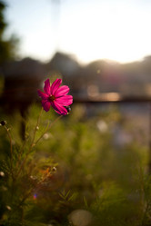 Similar image 2771694