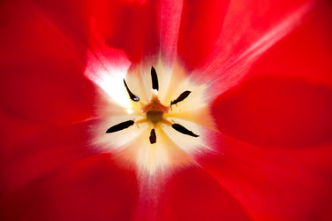 Similar image 2771715