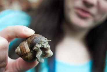 Similar image 2771775