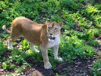 Similar image 2771812