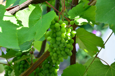 Similar image 2771854