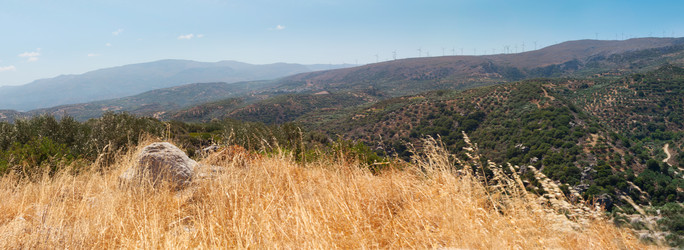 Similar image 2772091