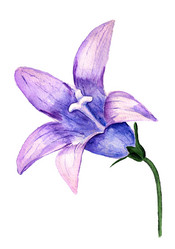 Similar image 2772193