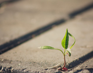 Similar image 2772241