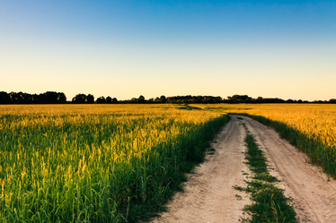 Similar image 2772248