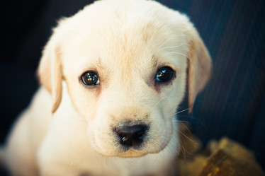 Similar image 2772278