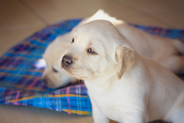 Similar image 2772280