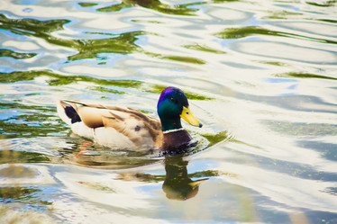 Similar image 2772284