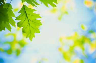 Similar image 2772285