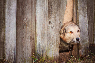 Similar image 2772287