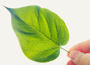 Similar image 2772293