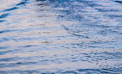 Similar image 2772319