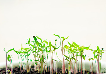 Similar image 2772321