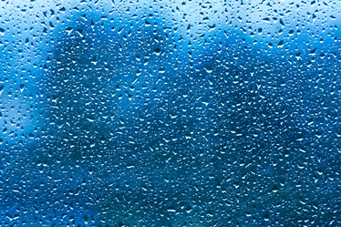 Similar image 2772330