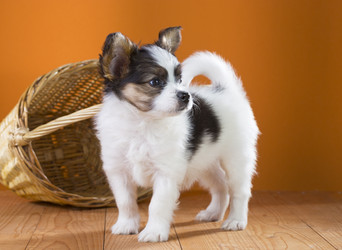 Similar image 2772349