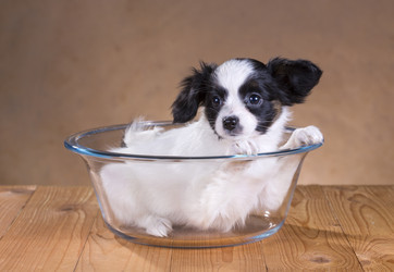 Similar image 2772351