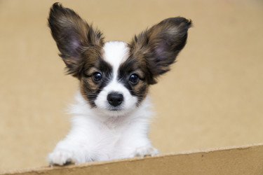 Similar image 2772352