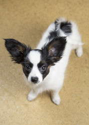 Similar image 2772355