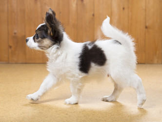 Similar image 2772361