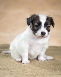 Similar image 2772363