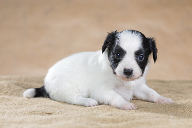 Similar image 2772366