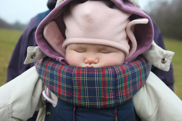 Similar image 2772406