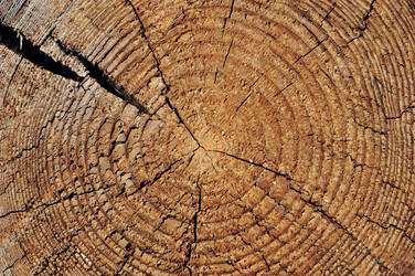 Similar image 2772419