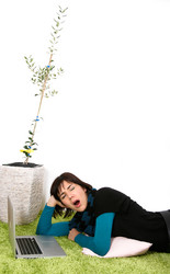 Similar image 2772440