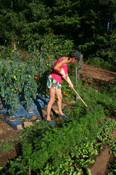 Similar image 2772633