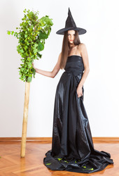 Similar image 2772767