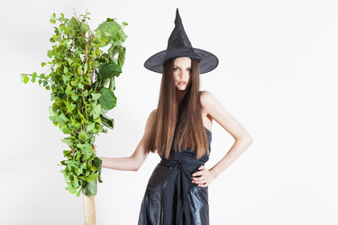 Similar image 2772801