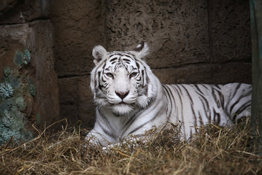 Similar image 2772826