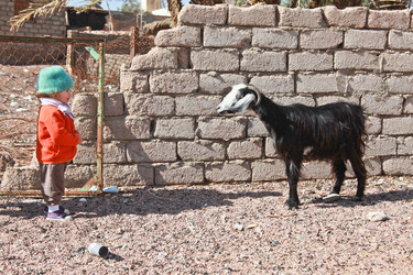 Similar image 2772837