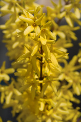 Similar image 2773088