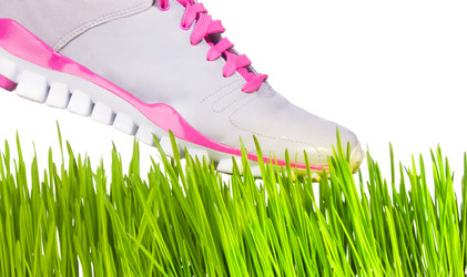 Similar image 2773131