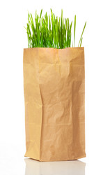 Similar image 2773140