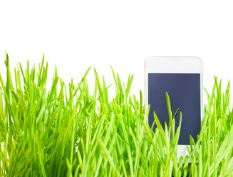 Similar image 2773193