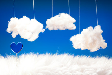 Similar image 2773571