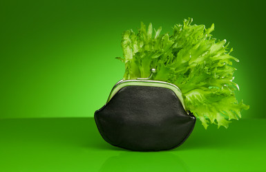 Similar image 2773575