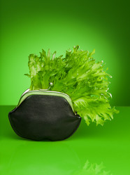 Similar image 2773577