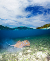 Similar image 2773631