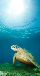 Similar image 2773689