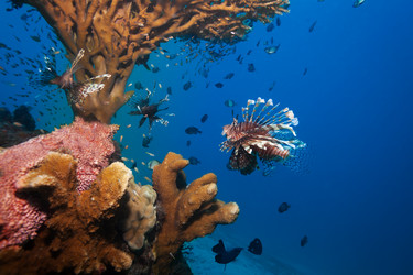 Similar image 2773710